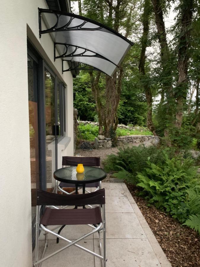 Ballycahill Studio Lägenhet Ballyvaughan Exteriör bild